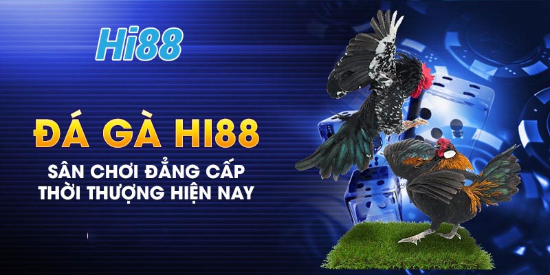 Đá gà Hi88 3 Cách chơi game đá gà online