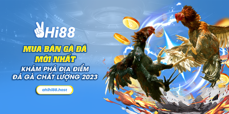 8 mua ban ga da moi nhat – kham pha dia diem da ga chat luong 2023