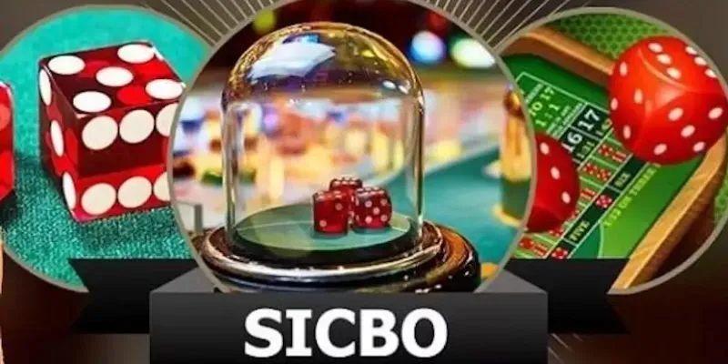 Làm chủ cuộc chơi với bí kíp chơi sicbo từ A đến Z 2 Tổng hợp các nguyên tắc cơ bản để bắt đầu chơi Sicbo