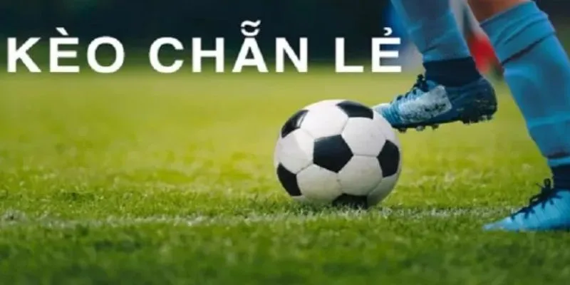 Học cách bắt kèo chẵn lẻ: Bí quyết cá cược từ cao thủ 2 Tìm hiểu nguyên tắc hoạt động của kèo Chẵn Lẻ