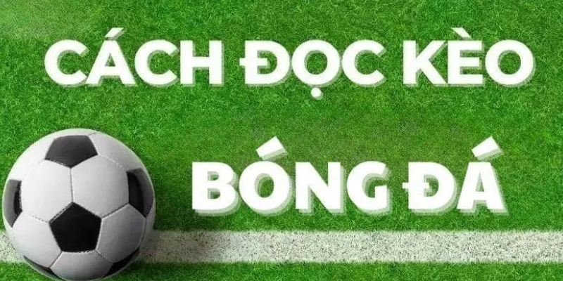 Tìm hiểu cách đọc kèo bóng đá như dân chuyên nghiệp 2 Tổng hợp các loại kèo bóng đá phổ biến