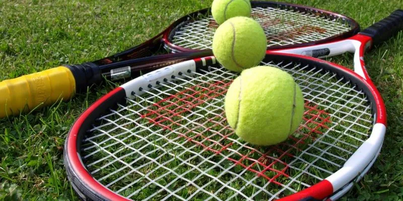 Cá cược quần vợt trực tuyến – Trải nghiệm đỉnh cao cùng giải đấu lớn 3 Cẩm nang cơ bản về cá cược cho người mới