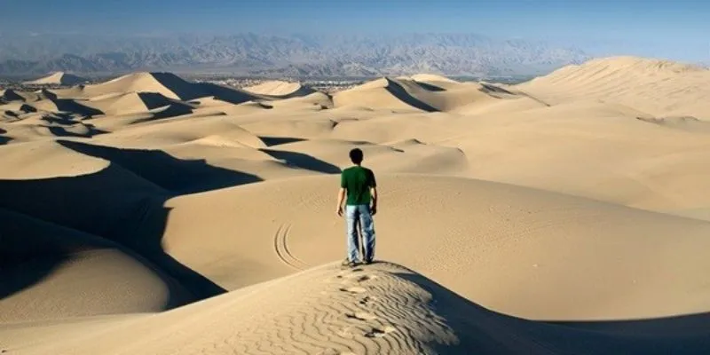 Mơ thấy đi lạc đường điềm lành hay xấu lô thủ nên đánh con gì? 2 Tại sao bạn lại mơ thấy đi lạc đường?