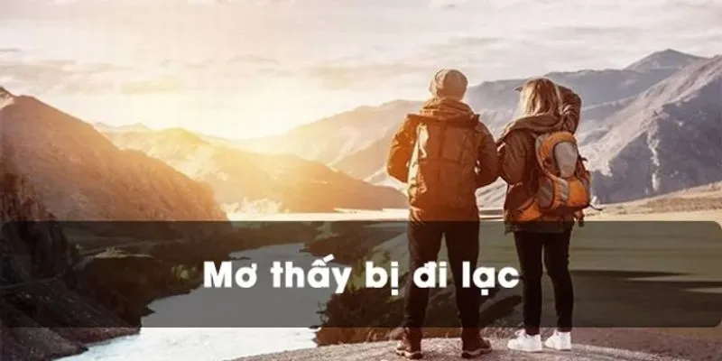 Mơ thấy đi lạc đường điềm lành hay xấu lô thủ nên đánh con gì? 4 Mơ thấy lạc đường lô thủ nên đánh con gì?