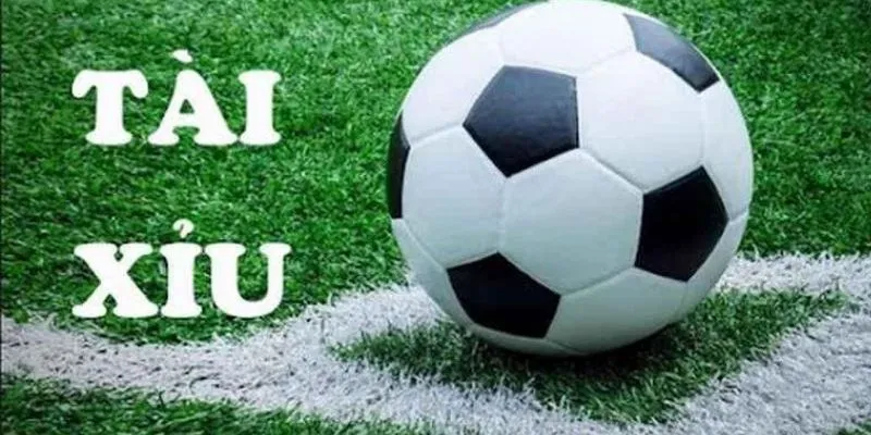 Cược tài xỉu bóng đá: Yếu tố ảnh hưởng đến tỷ lệ cược tại Hi88 3 Tổng hợp các yếu tố ảnh hưởng đến tỷ lệ cược