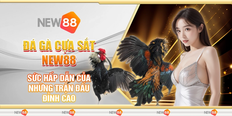 Đá Gà Cựa Sắt New88 - Sức Hấp Dẫn Của Những Trận Đấu Đỉnh Cao 1 Đá Gà Cựa Sắt New88 - Sức Hấp Dẫn Của Những Trận Đấu Đỉnh Cao