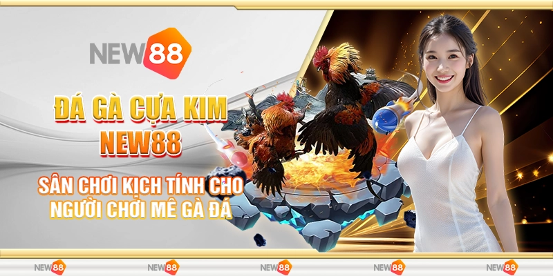 Đá Gà Cựa Kim New88 – Sân Chơi Kịch Tính Cho Người Chơi Mê Gà Đá 1 Đá Gà Cựa Kim New88 – Sân Chơi Kịch Tính Cho Người Chơi Mê Gà Đá