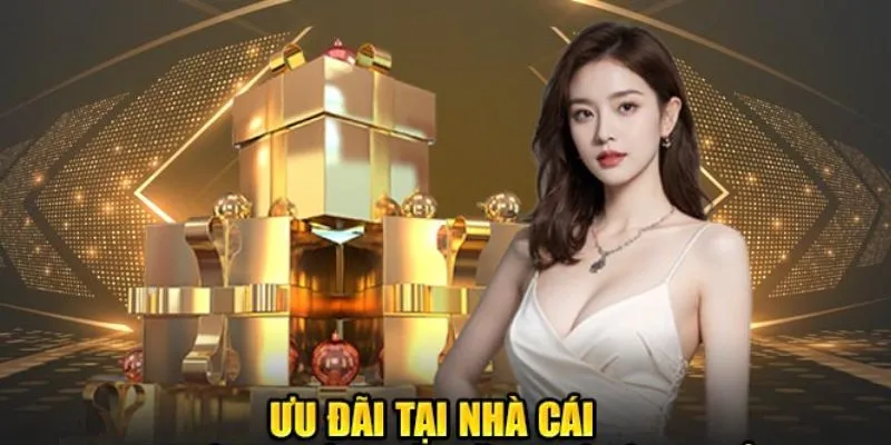 Cách nhận khuyến mãi nhà cái - Hướng dẫn chi tiết từ A-Z 4 Những điều bạn cần đặc biệt chú ý khi tham gia khuyến mãi