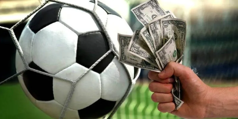 Tỷ lệ cá độ bóng đá tại Hi88 - Cơ hội thắng lớn với kèo hấp dẫn 2 Phân tích ý nghĩa của tỷ lệ cá độ bóng đá