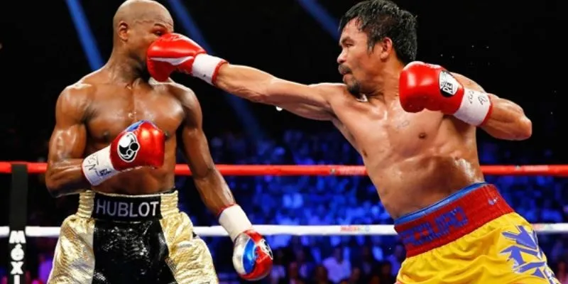 Cá cược quyền anh tại Hi88 - Bí quyết chọn kèo có lợi 2 Khái quát về cá cược quyền anh tại Hi88